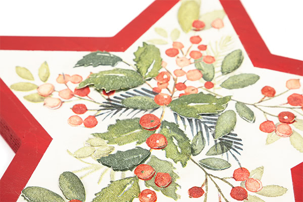 weihnachtssterne_schritt12