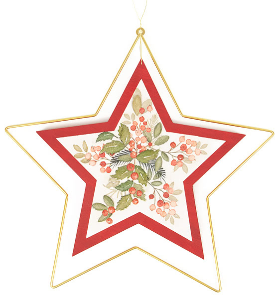 weihnachtssterne_schritt13b