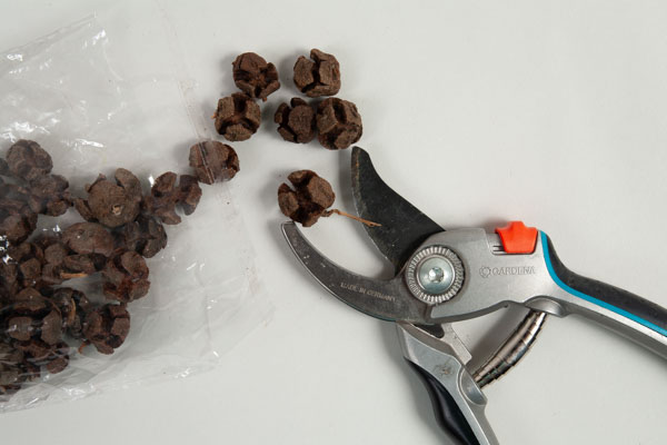 fliegenpilze-aus-naturmaterialien-g_schritt09