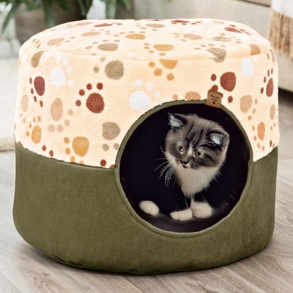 tierhoehle_lp_dez_25